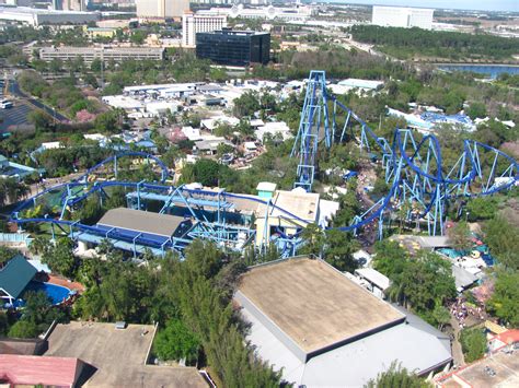 File:Manta at SeaWorld Orlando 63.jpg - Wikimedia Commons