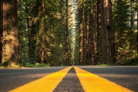 6 Most Unbelievably Scenic Drives in California