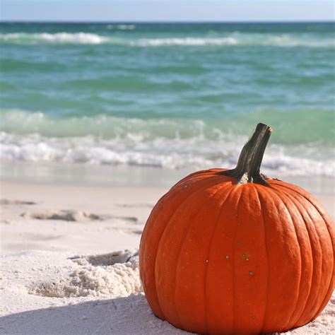 Fall Festivals Orange Beach AL | Hilton Garden Inn | Local Guide