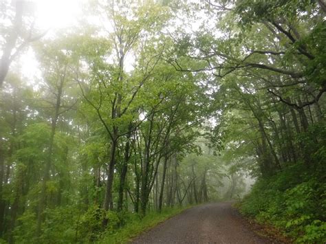 Chattahoochee National Forest | Raven About The Parks | Raven About The ...