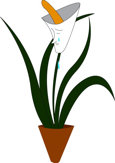 Sad white flower, vector or color illustration. 13765774 Vector Art at ...