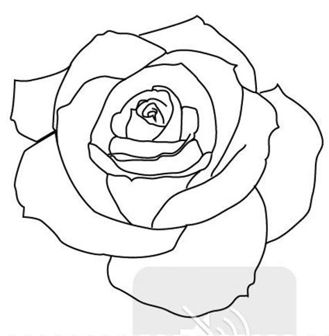 Download png rose outline s clipart png photo | TOPpng