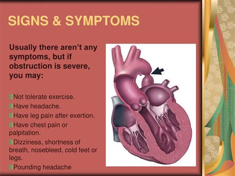 PPT - Coarctation of the Aorta PowerPoint Presentation, free download - ID:6677244