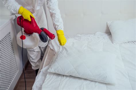 The Importance of Regular Inspections by Bed Bug Exterminators | Buzz Kill Pest Control