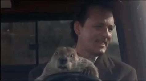 Groundhog Day Bill Murray GIF - GroundhogDay BillMurray Groundhogsday - Discover & Share GIFs