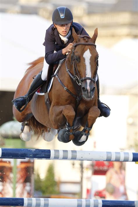 Show jumping horses, Eventing horses, Jumping horse