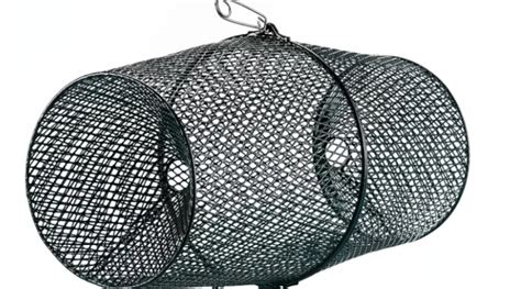 High-Quality Fishing Traps for a Bountiful Catch