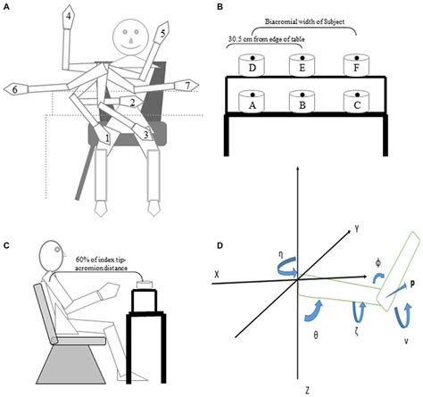 Frontiers | A Donders’ Like Law for Arm Movements: The Signal not the Noise