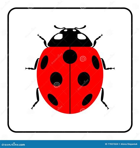 Ladybug Red Cartoon Icon Realistic Stock Illustration - Illustration of ...