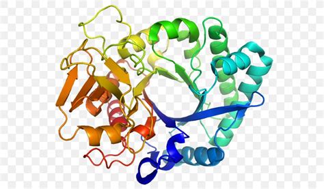 Protein Folding Beta Sheet Alpha Helix, PNG, 640x480px, Protein Folding, Alpha Helix, Amino Acid ...