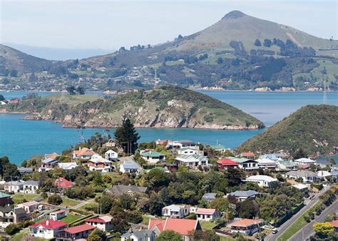 Dunedin, New Zealand 2024: Best Places to Visit - Tripadvisor