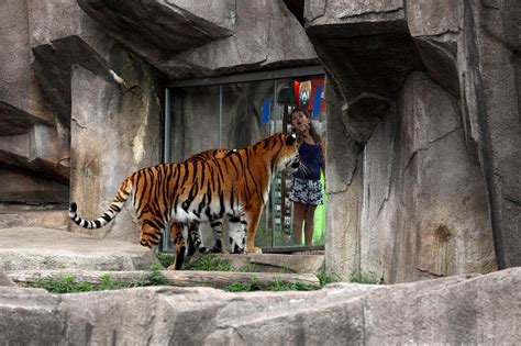 Animals at Wisconsin zoos to receive COVID-19 vaccine