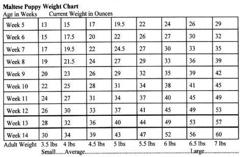 Great Pyrenees Weight Chart By Age