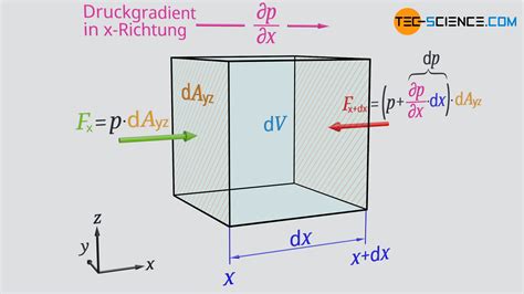 Derivation of the Euler equation of motion (conservation of momentum ...