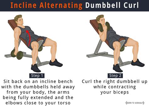 Incline Dumbbell Curl: How to do, Benefits, Forms, Video | Born to Workout