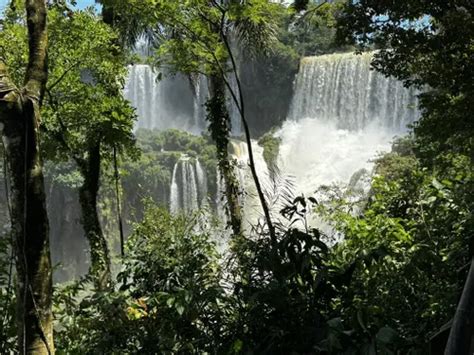 Best Wildlife Trails in Iguazú National Park | AllTrails