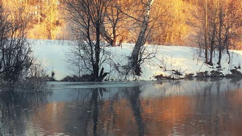 Forest river in winter. Winter river. River bank in winter forest. Mist ...