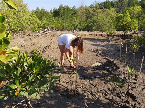 CSR Mangrove Planting - Making Teams - Team Building Thailand