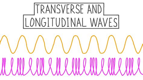 Lesson Video: Transverse and Longitudinal Waves | Nagwa