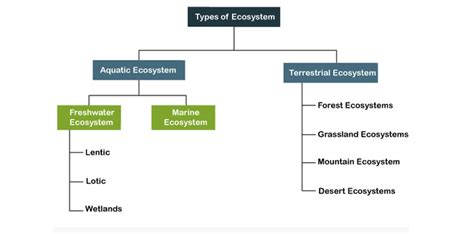 Types Of Terrestrial Ecosystems