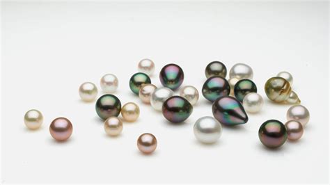 Loose Pearls | Certified and Guaranteed | Pearl Paradise