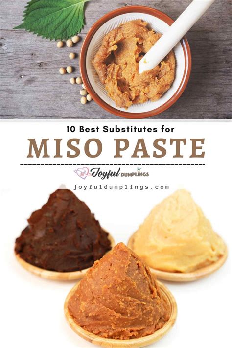 10 Best Miso Paste Substitutes » Joyful Dumplings