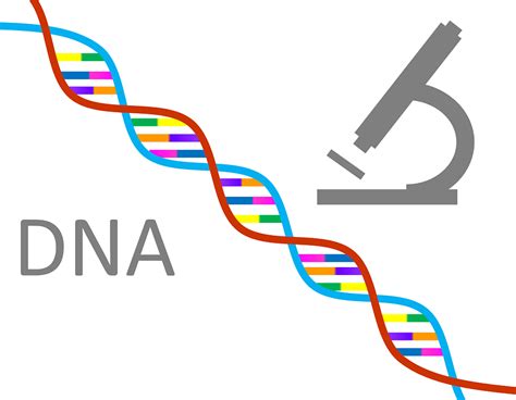 Difference Between Classical and Modern Genetics | Compare the ...