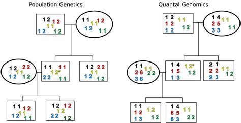 Analysis of Haplotype Sequences | IntechOpen