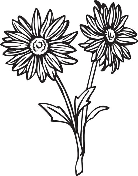 Free Gerber Daisy Drawing, Download Free Gerber Daisy Drawing png ...