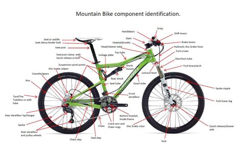 Colorful Sun Rim for Mountain Bikes