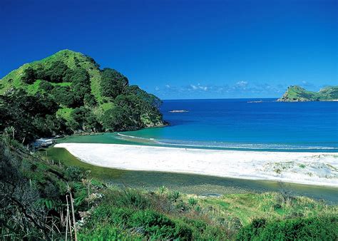 Visit Great Barrier Island, New Zealand | Audley Travel