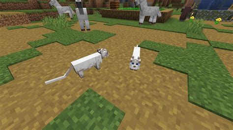 5 interesting facts about Minecraft cats