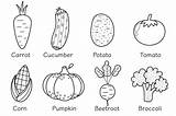 Coloring Vegetables Vegetable Pages Corn Fruits Drawing Sweet Fruit  sketch template