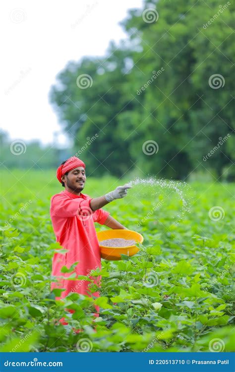 Old Farmer Spreading Fertilizer In Orchard Royalty-Free Stock Image | CartoonDealer.com #49461058