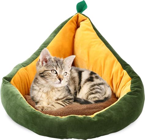 Amazon.com : AMOY Plush Avocado-Shape Cat and Dog Bed| Snuggery Indoor Cat and Dog beds for ...