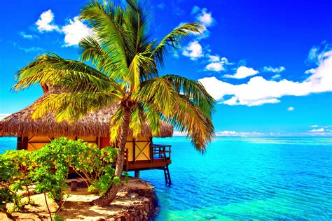 🔥 [20+] Beach Bungalow Wallpapers | WallpaperSafari