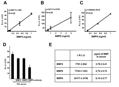 Simultaneous analysis of multiple BMPs in a serumsample. C2C12BRE cells... | Download Scientific ...