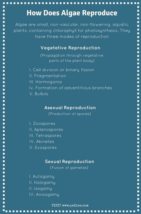 How Does Algae Reproduce - Pediaa.Com