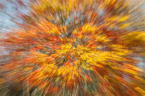 Blurred Fall Leaves – Tom Murphy Photography