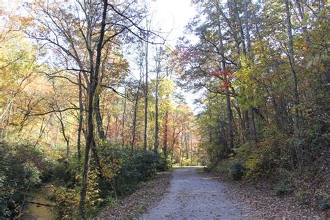 Bent Creek Road - NiceWebb Photography - Photography, Landscapes & Nature, Paths & Trails - ArtPal