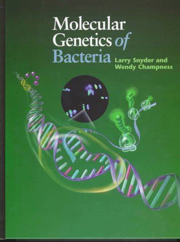 Molecular Genetics of Bacteria - Snyder, Larry: 9781555811020 - IberLibro