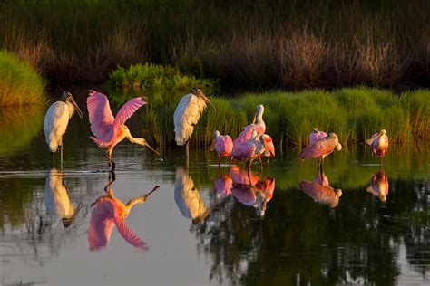 Florida Keys National Marine Sanctuary Plan Proposes New Protections ...