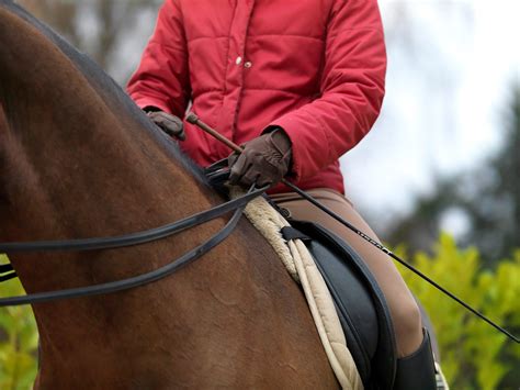 In Which Hand Should I Carry the Dressage Whip? | Dressage, Carry on, Usdf