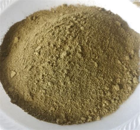 Stevia Leaf Powder Stevia Rebaudiana - Etsy