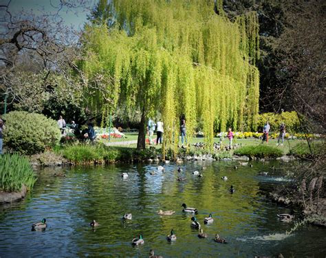 Beacon Hill Park, Victoria, BC | Canada travel, Butchart gardens ...