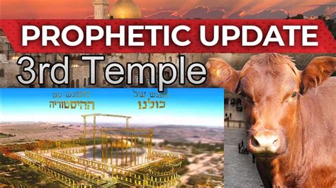 Unveiling The Mysteries Of The Red Heifer Sacrifice 2024