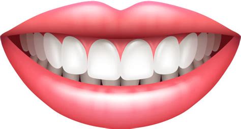 Dental Teeth Perfect Smile Woman Illustrations, Royalty-Free Vector ...