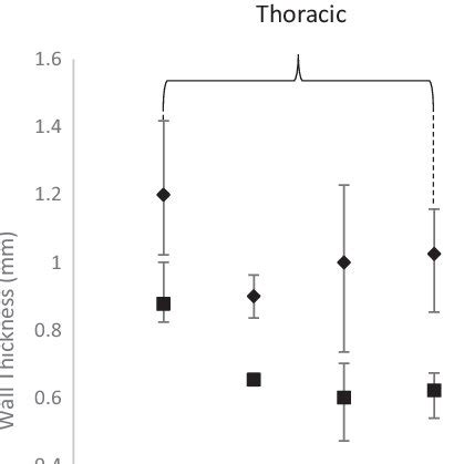 Intima/media/adventitia layer thickness breakdown according to location... | Download Scientific ...