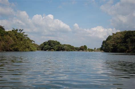 Cauvery River Wildlife Sanctuary Outside of Mysore | 3 Months In India