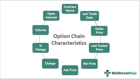 Option Chain - What Is It, Trading Strategy, Examples